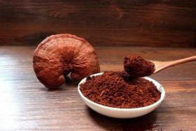 破壁靈芝孢子粉的功效和應用