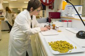 實(shí)驗室專(zhuān)用超微粉碎機