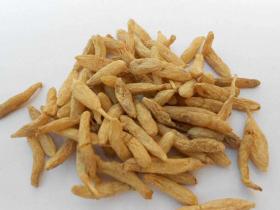 天門(mén)冬中藥粉碎機什么樣的好？